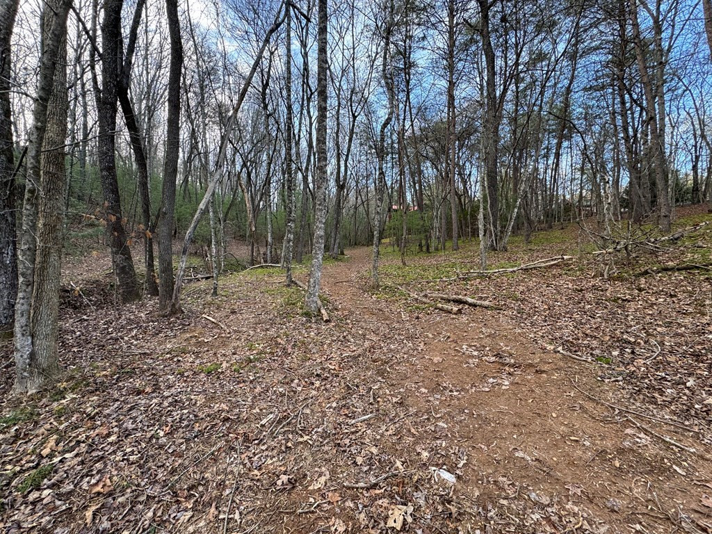 Lot 23 Blackgum Subdivision Blue Ridge Blue Ridge, GA 30513 - Photo 3 of 26