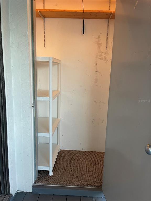 455 Alt 19, Unit 44 Palm Harbor, FL 34683 - Photo 22 of 22 a view of walk in closet