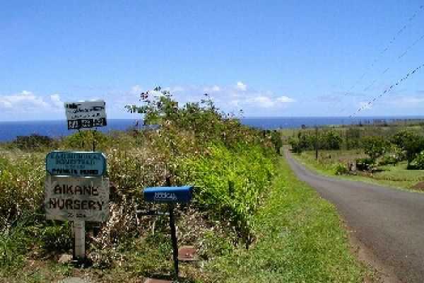 Alaalae Road Hawi, HI 96719 - Photo 5 of 6 Gallery Image 5