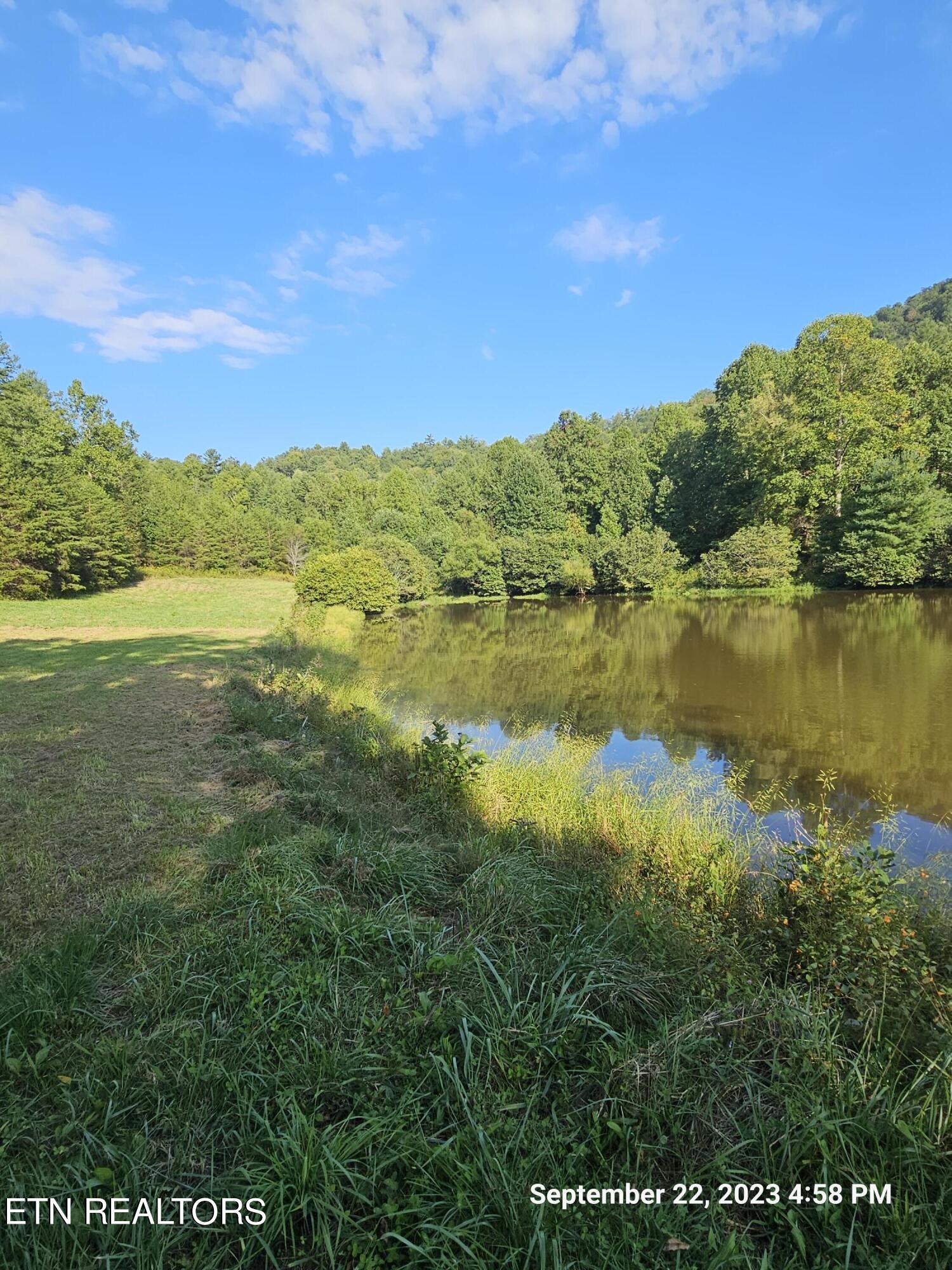 Sugar Maple Way Del Rio, TN 37727 - Photo 1 of 16 20230922_165833