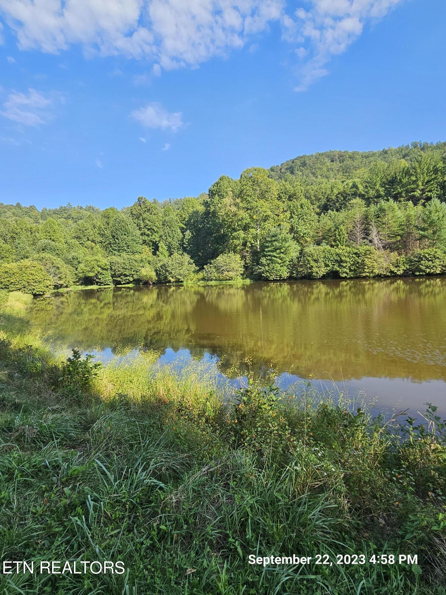 Sugar Maple Way Del Rio, TN 37727 - Photo 11 of 16 20230922_165831