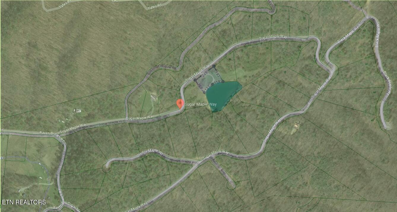 Sugar Maple Way Del Rio, TN 37727 - Photo 15 of 16 Satellite Tax overlay2