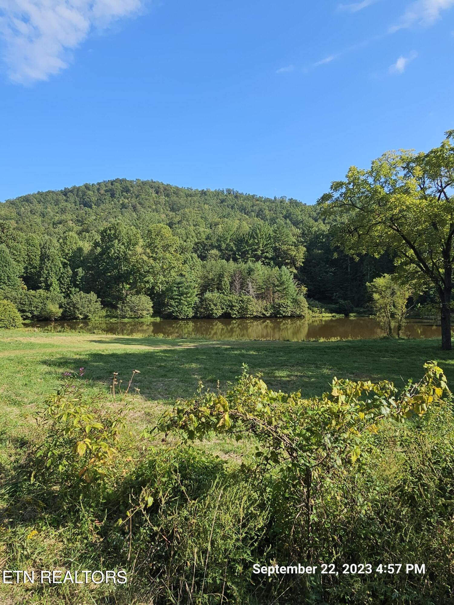 Sugar Maple Way Del Rio, TN 37727 - Photo 7 of 16 20230922_165720