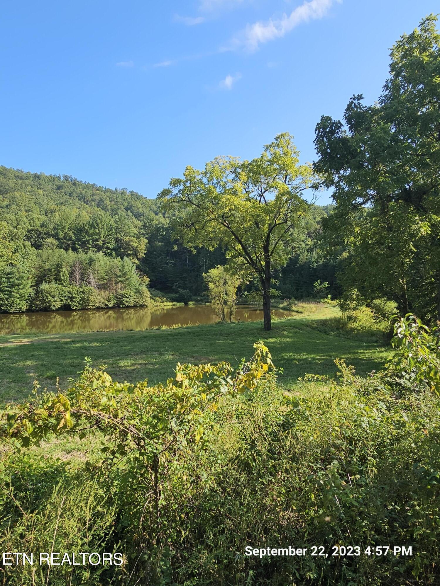 Sugar Maple Way Del Rio, TN 37727 - Photo 8 of 16 20230922_165722