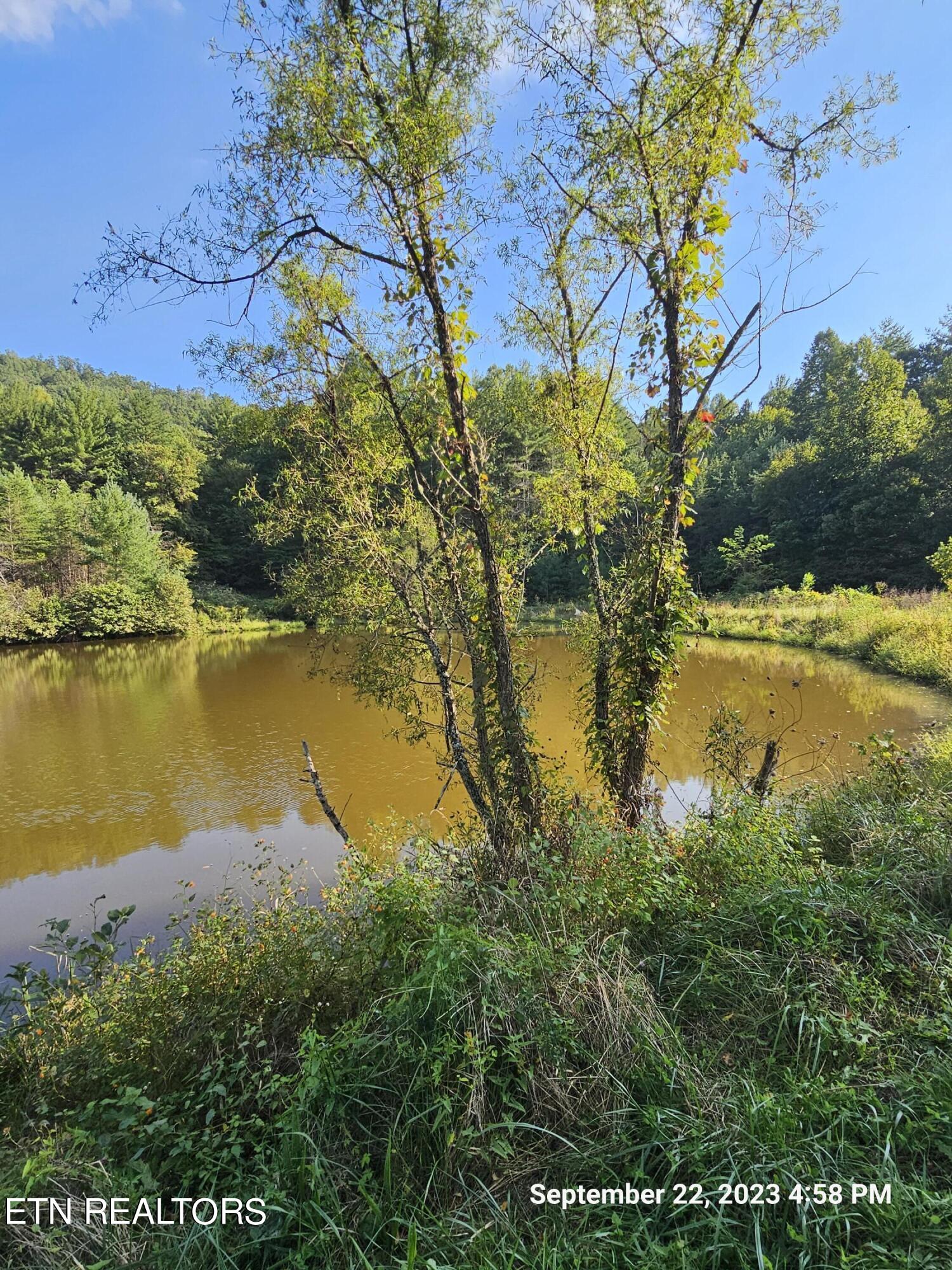 Sugar Maple Way Del Rio, TN 37727 - Photo 9 of 16 20230922_165826