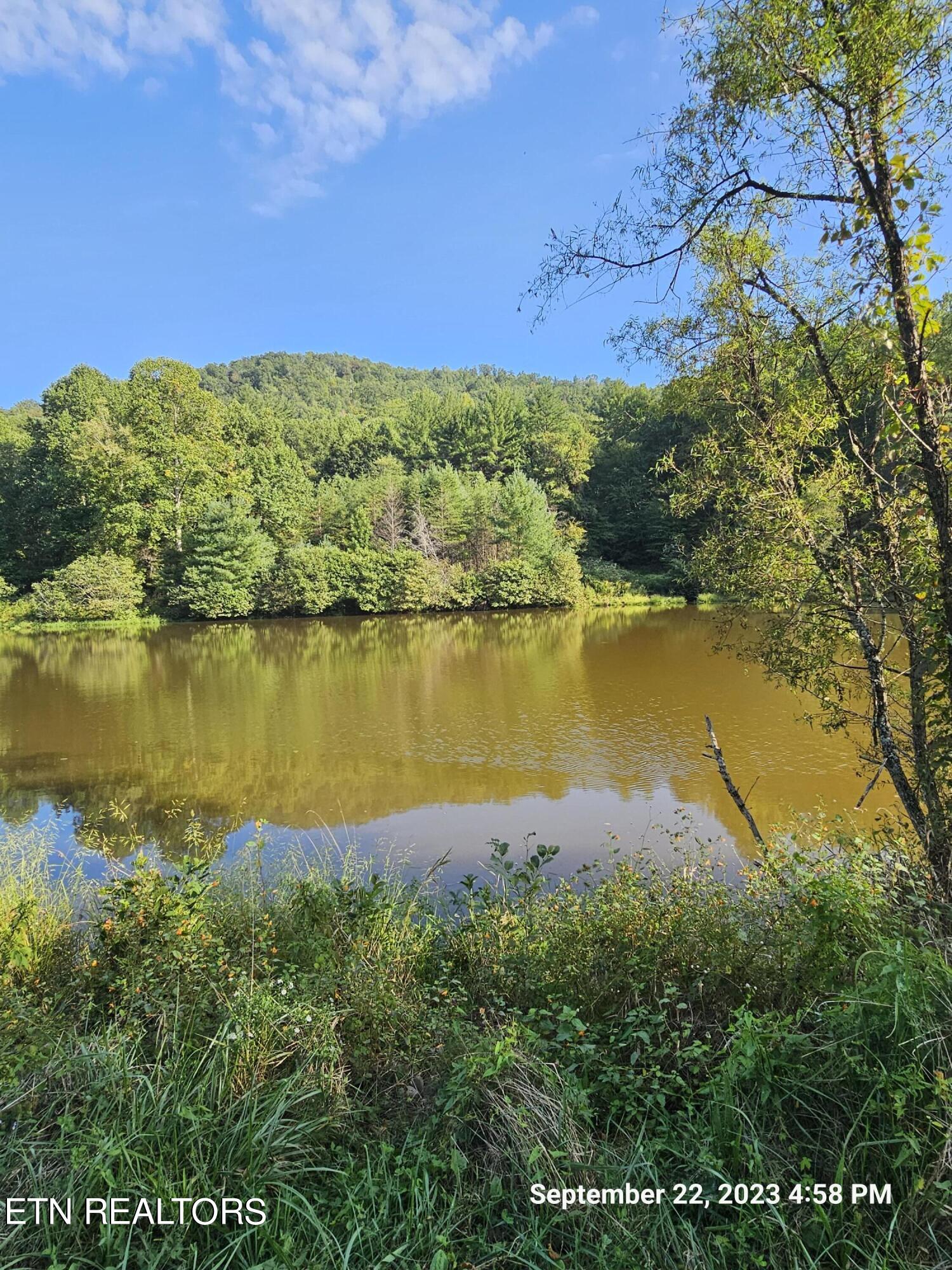 Sugar Maple Way Del Rio, TN 37727 - Photo 10 of 16 20230922_165828