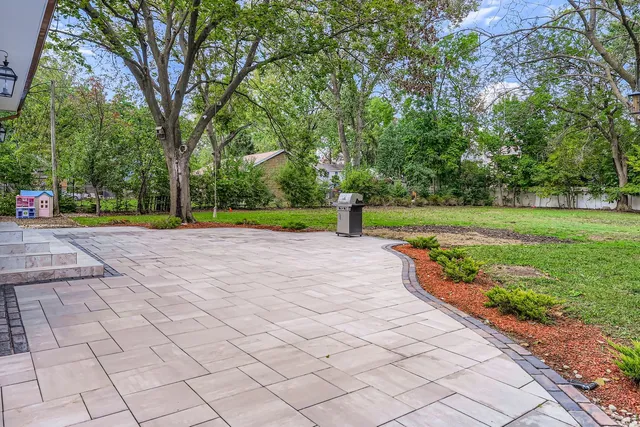 a view of a road with a large trees