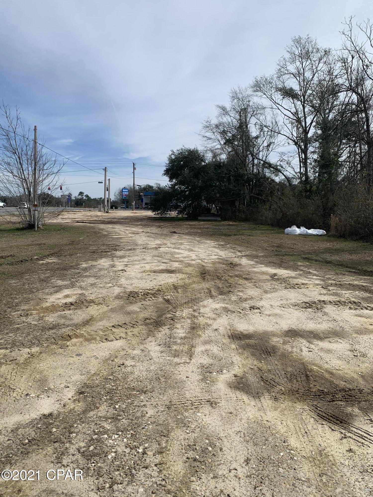 0 Hwy 90 Grand Ridge Grand Ridge, FL 32442 - Photo 4 of 22