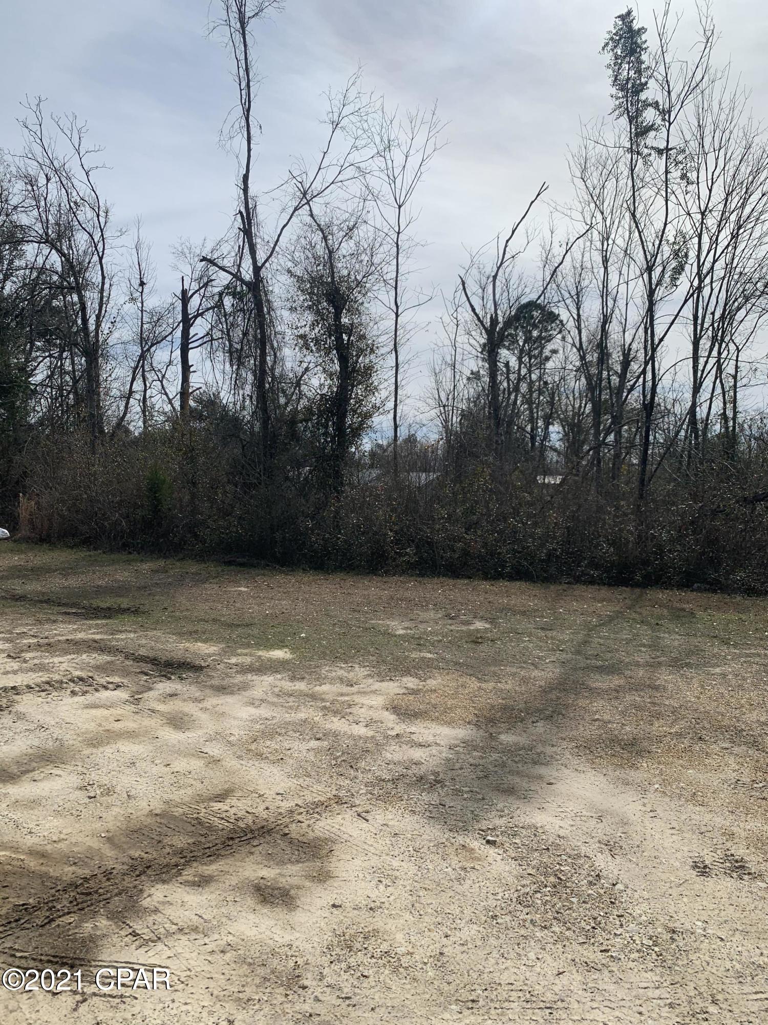 0 Hwy 90 Grand Ridge Grand Ridge, FL 32442 - Photo 8 of 22