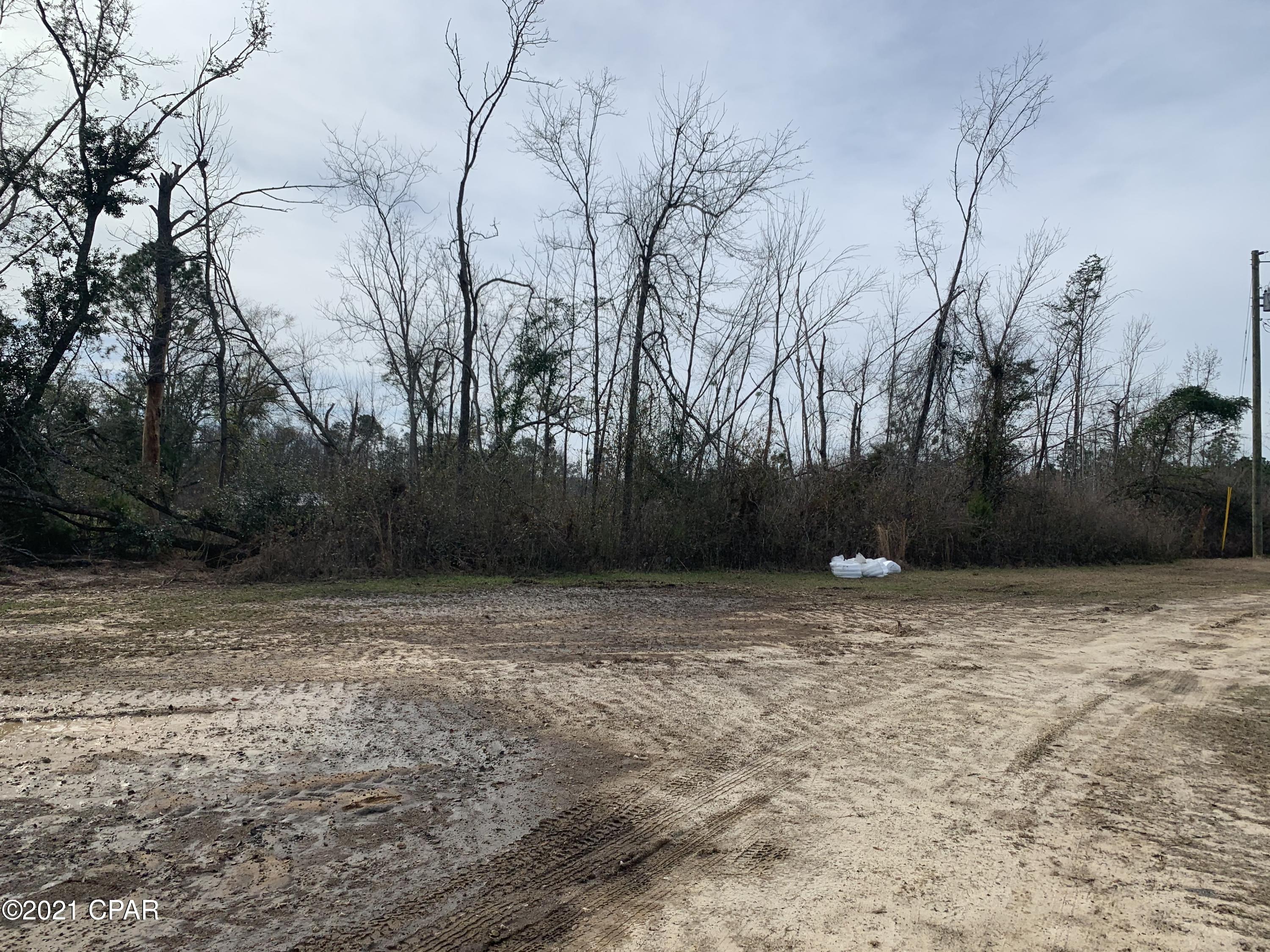 0 Hwy 90 Grand Ridge Grand Ridge, FL 32442 - Photo 9 of 22