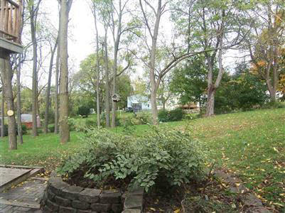 401 George Street Flushing, MI 48433 - Photo 10 of 11 20233285-9.JPG