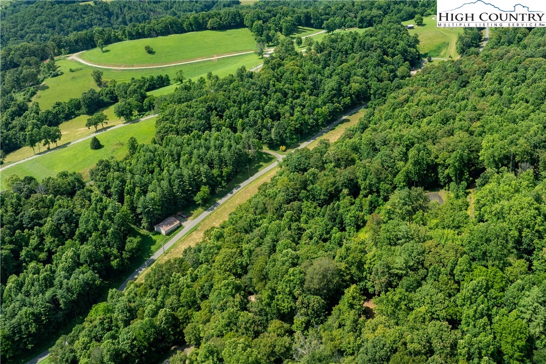 Lot 33 Lake Ridge Butler, TN 37640 - Photo 12 of 30 a view of a lush green forest