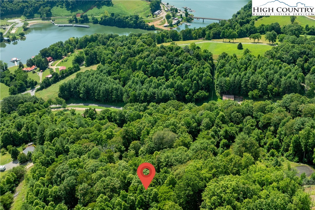 Lot 33 Lake Ridge Butler, TN 37640 - Photo 15 of 30 a view of a garden with a bench and trees all around