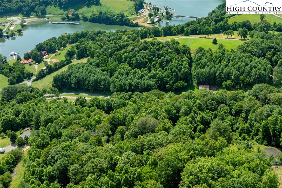 Lot 33 Lake Ridge Butler, TN 37640 - Photo 16 of 30 a view of a garden with a lake