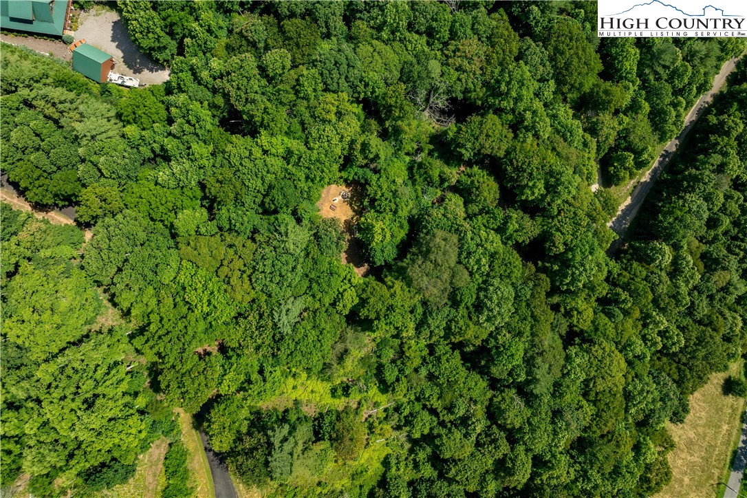Lot 33 Lake Ridge Butler, TN 37640 - Photo 2 of 30 a view of a lush green forest with large trees
