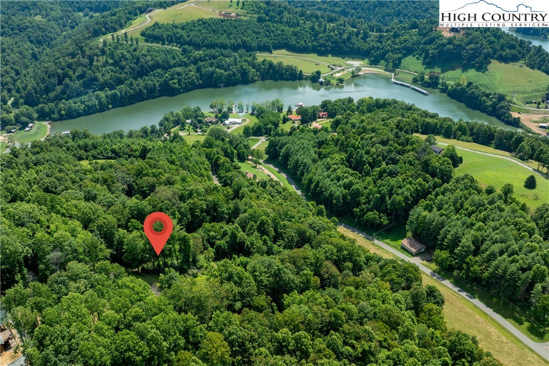 Lot 33 Lake Ridge Butler, TN 37640 - Photo 21 of 30 a view of a garden with plants and pool