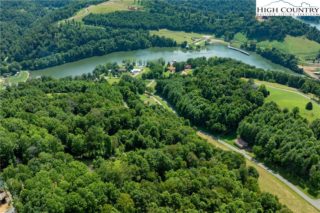 Lot 33 Lake Ridge Butler, TN 37640 - Photo 22 of 30 an aerial view of green landscape with trees houses and lake view