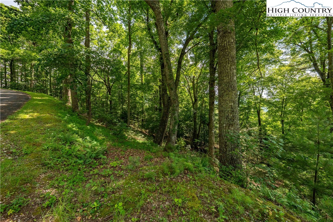 Lot 33 Lake Ridge Butler, TN 37640 - Photo 27 of 30 a view of a lush green forest