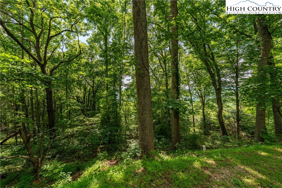 Lot 33 Lake Ridge Butler, TN 37640 - Photo 29 of 30 a view of forest