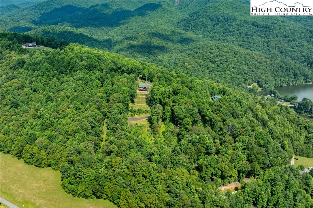Lot 33 Lake Ridge Butler, TN 37640 - Photo 4 of 30 a view of a lush green forest