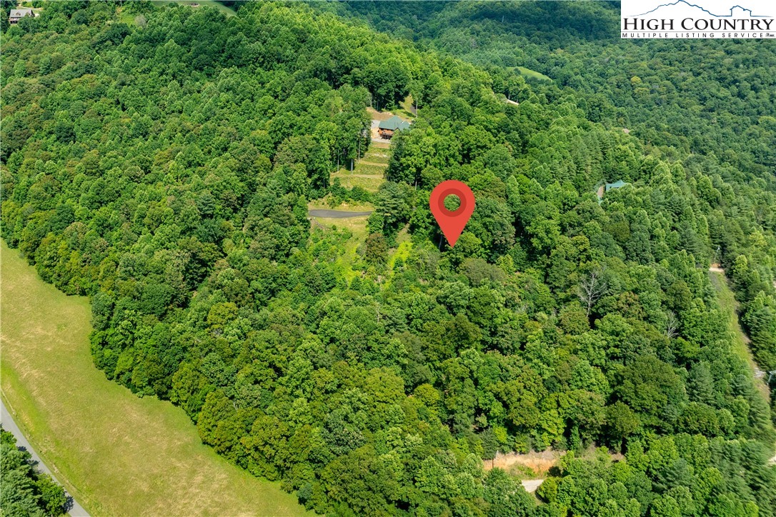 Lot 33 Lake Ridge Butler, TN 37640 - Photo 5 of 30 a fire hydrant in the middle of a garden