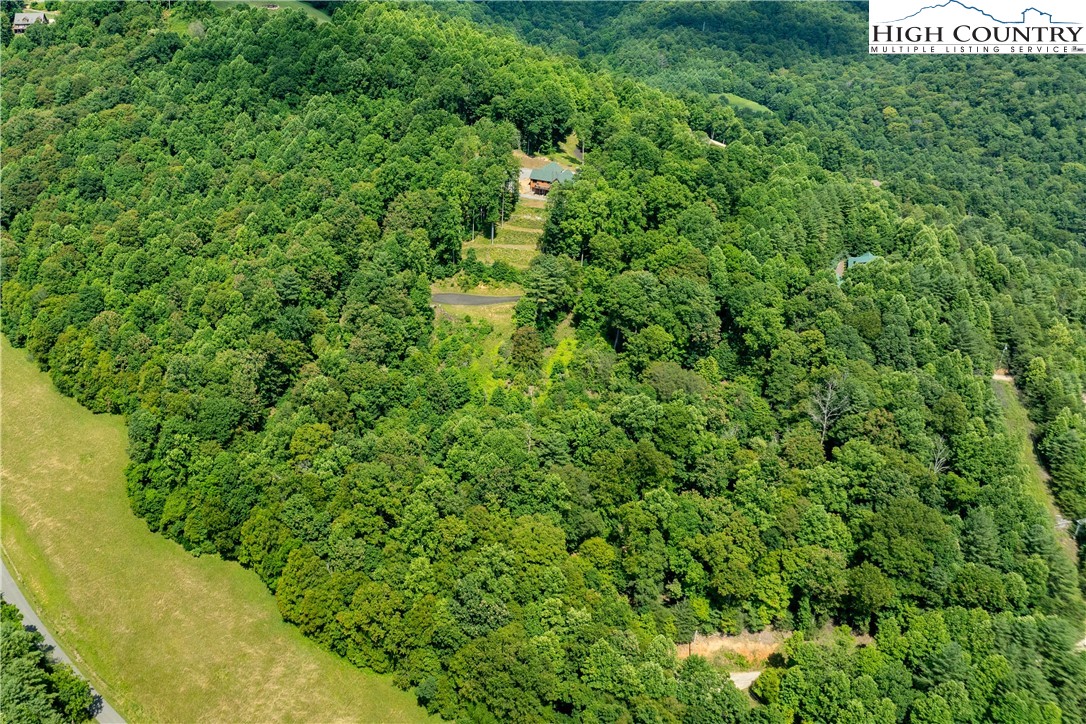 Lot 33 Lake Ridge Butler, TN 37640 - Photo 6 of 30 a view of a garden