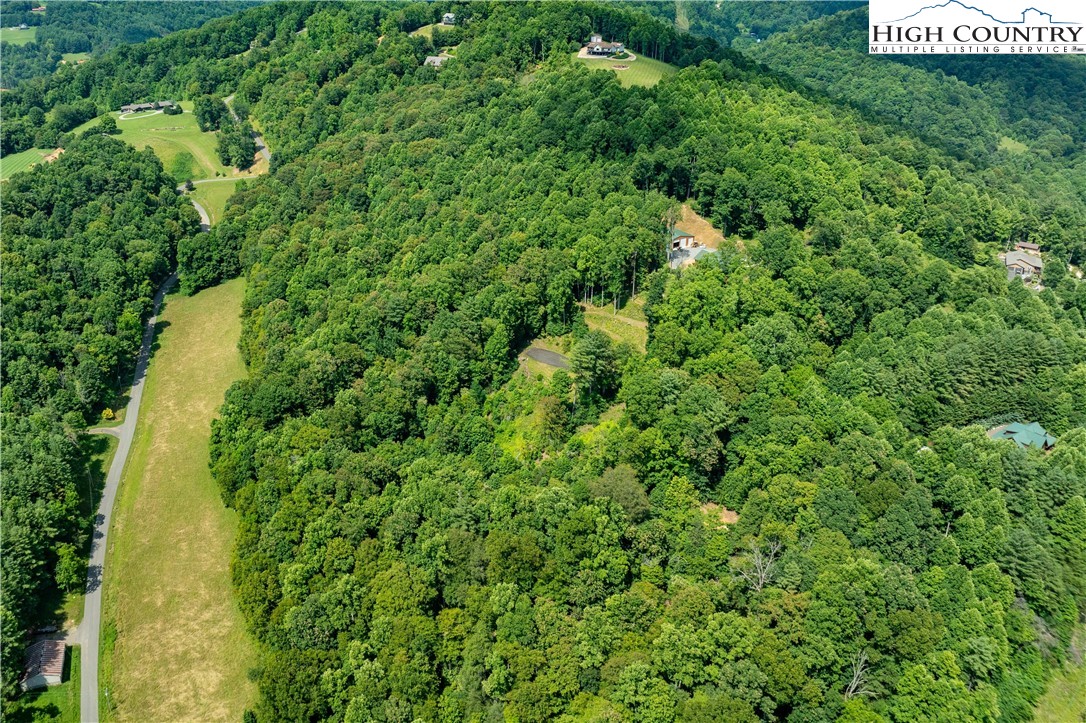 Lot 33 Lake Ridge Butler, TN 37640 - Photo 8 of 30 a view of a lush green forest with lots of trees