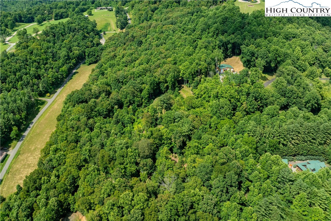 Lot 33 Lake Ridge Butler, TN 37640 - Photo 10 of 30 a view of a lush green forest