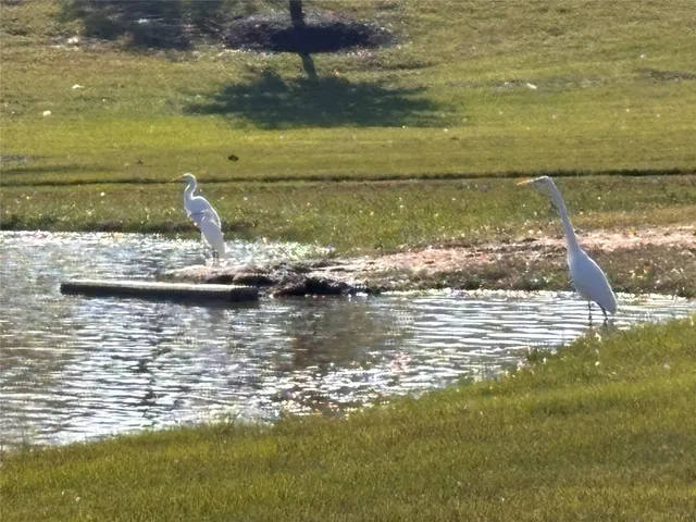 $3,750 | 7414 Evelyn Grove Drive, Spring, TX 77379