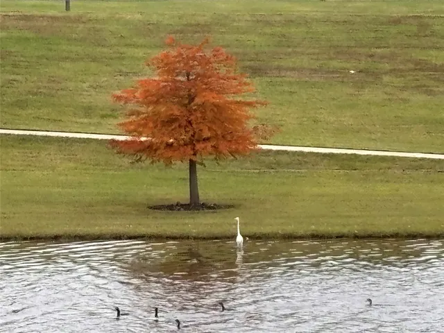 $3,750 | 7414 Evelyn Grove Drive, Spring, TX 77379