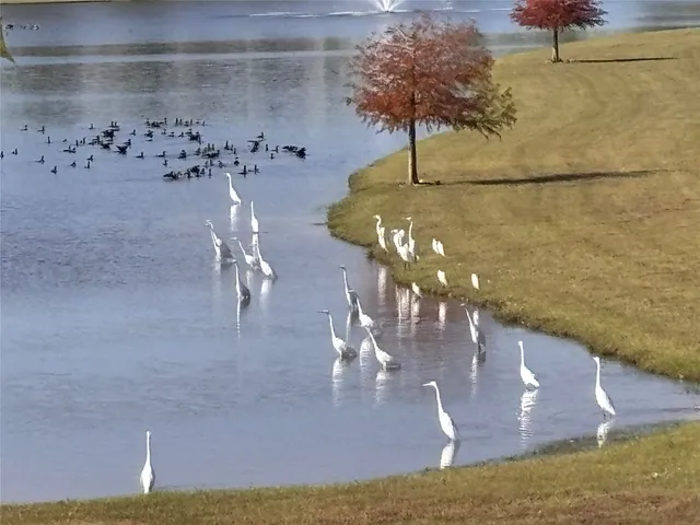 $3,750 | 7414 Evelyn Grove Drive, Spring, TX 77379