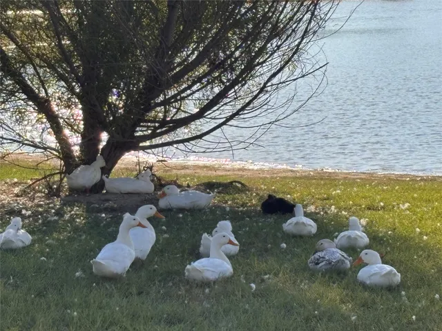 $3,750 | 7414 Evelyn Grove Drive, Spring, TX 77379