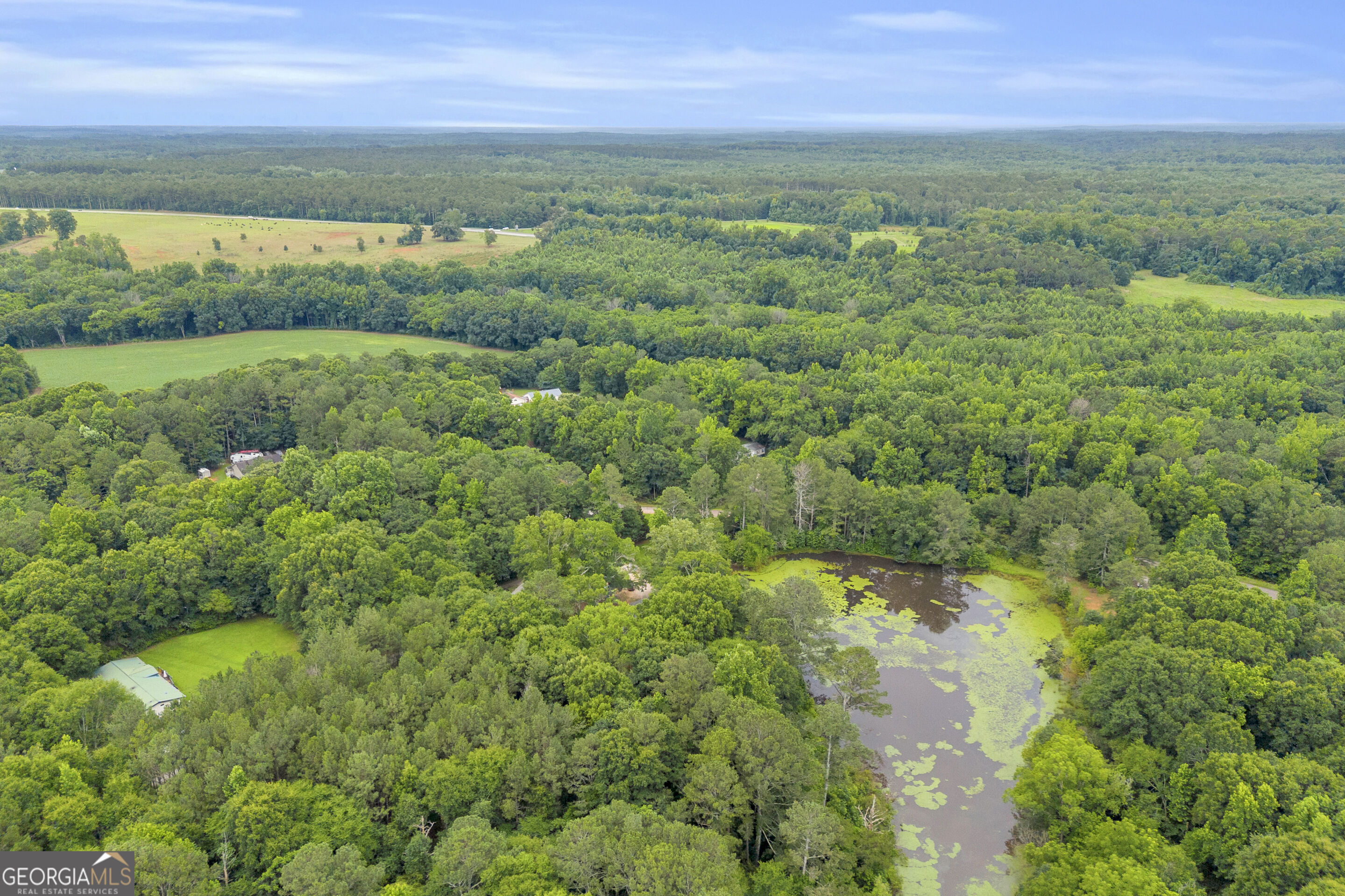 145 Joe Carey Road Winterville, GA 30683 - Photo 48 of 55 Gallery Image 48