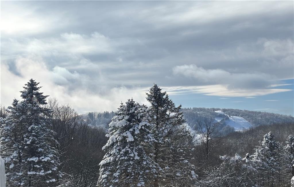 2488 County Line Road Champion, PA 15622 - Photo 3 of 50 a city view with lot of green space