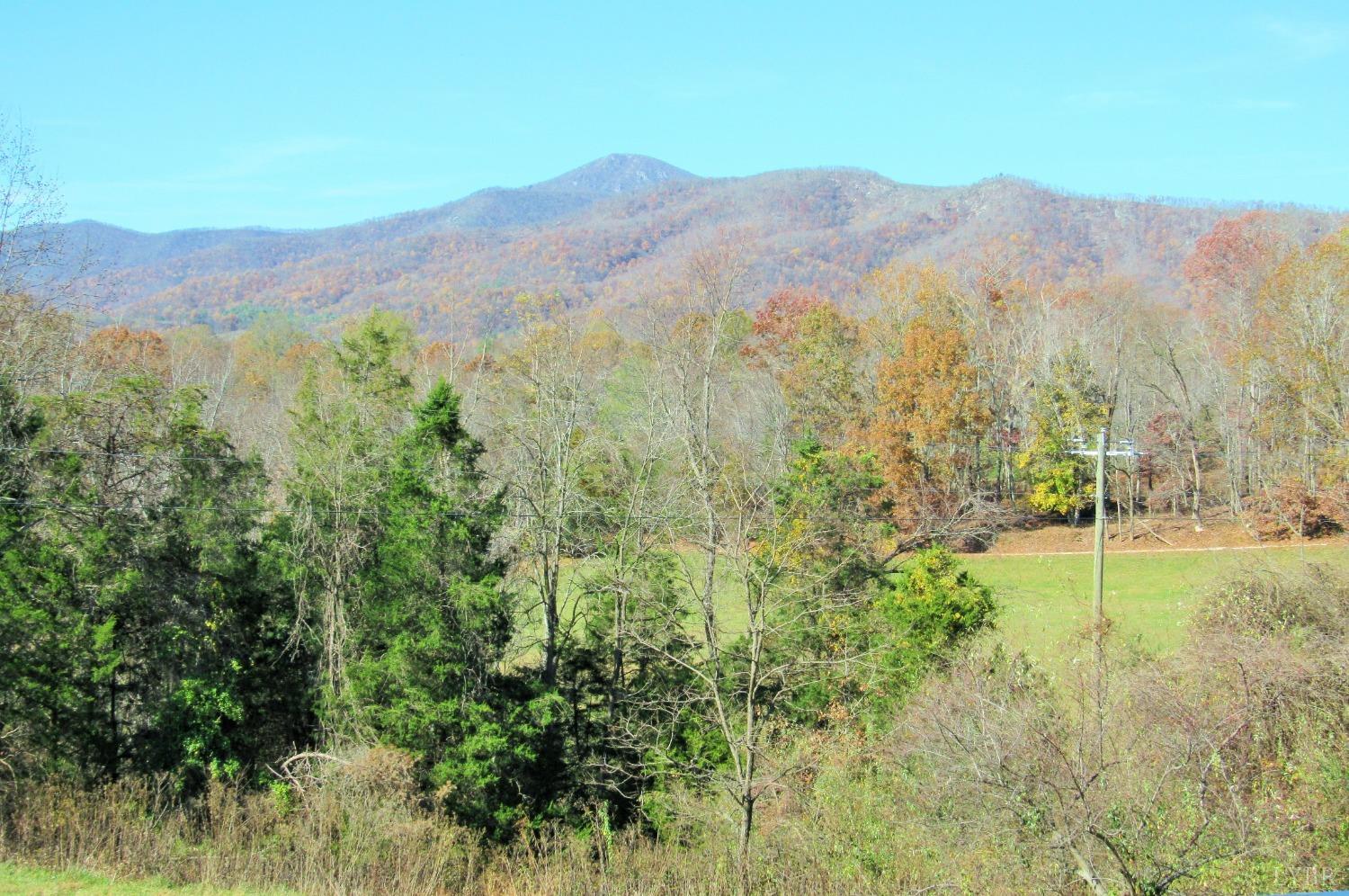801 Gidsville Road Amherst, VA 24521 - Photo 3 of 34 a view of a mountain range with lush green forest