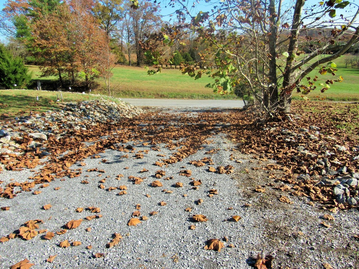 801 Gidsville Road Amherst, VA 24521 - Photo 34 of 34 a view of a pathway with a yard