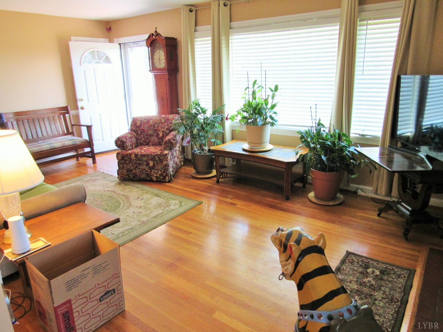 801 Gidsville Road Amherst, VA 24521 - Photo 5 of 34 a living room with furniture floor to ceiling window and potted plant