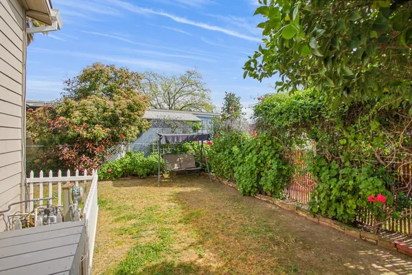 a view of a garden with potted plants