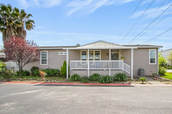 a view of a park with large trees