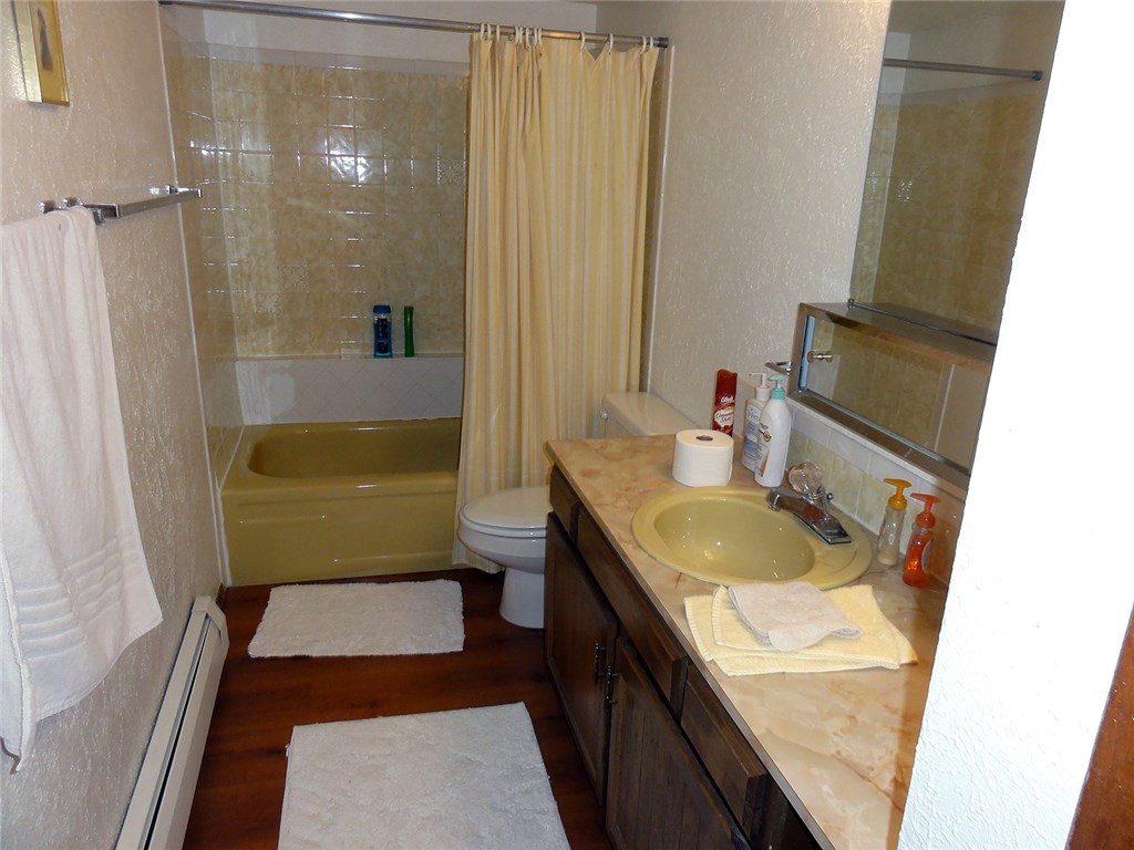 434 Big Elk Road Dillon, CO 80435 - Photo 18 of 25 Gallery Image 18