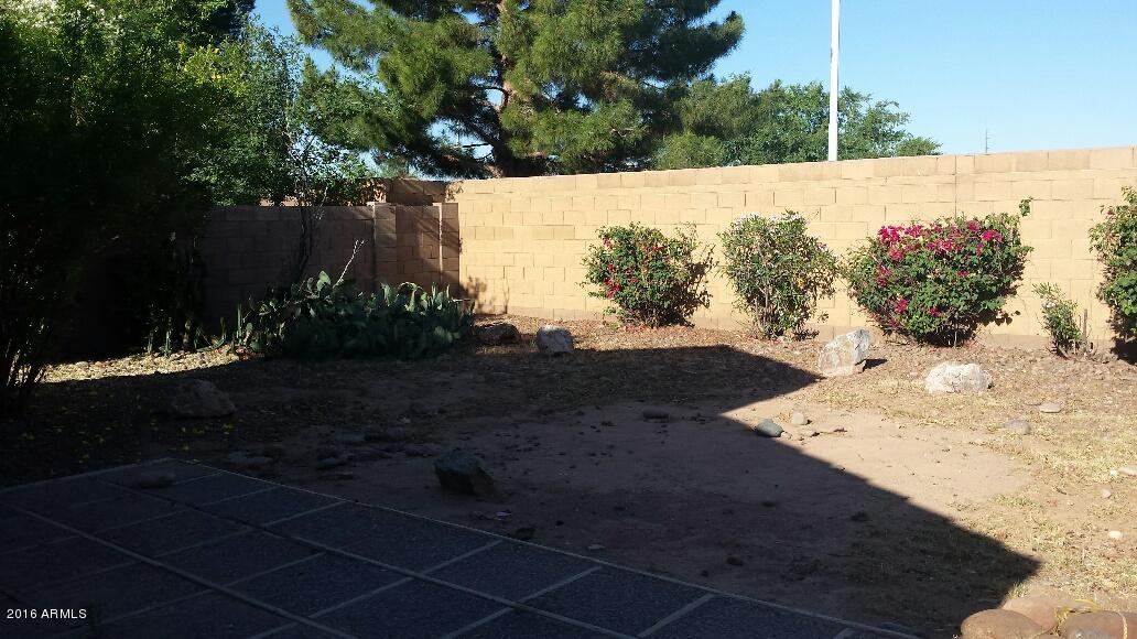 1202 North Bogle Avenue Chandler, AZ 85225 - Photo 14 of 16 a view of a yard
