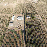 2695 Redstone Street Chaparral, NM 88081 - Photo 2 of 33 a bathroom with a sink