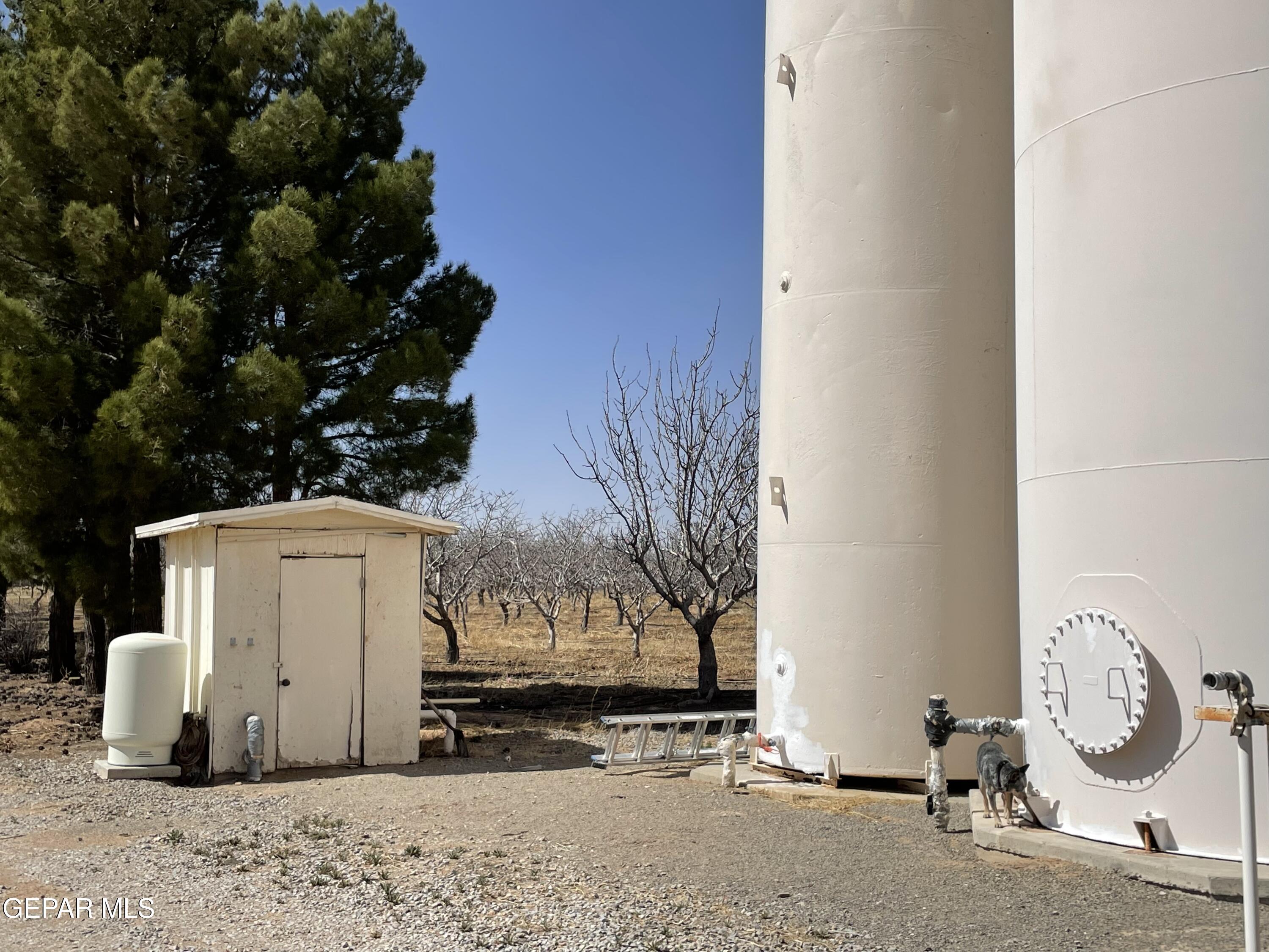 2695 Redstone Street Chaparral, NM 88081 - Photo 22 of 33