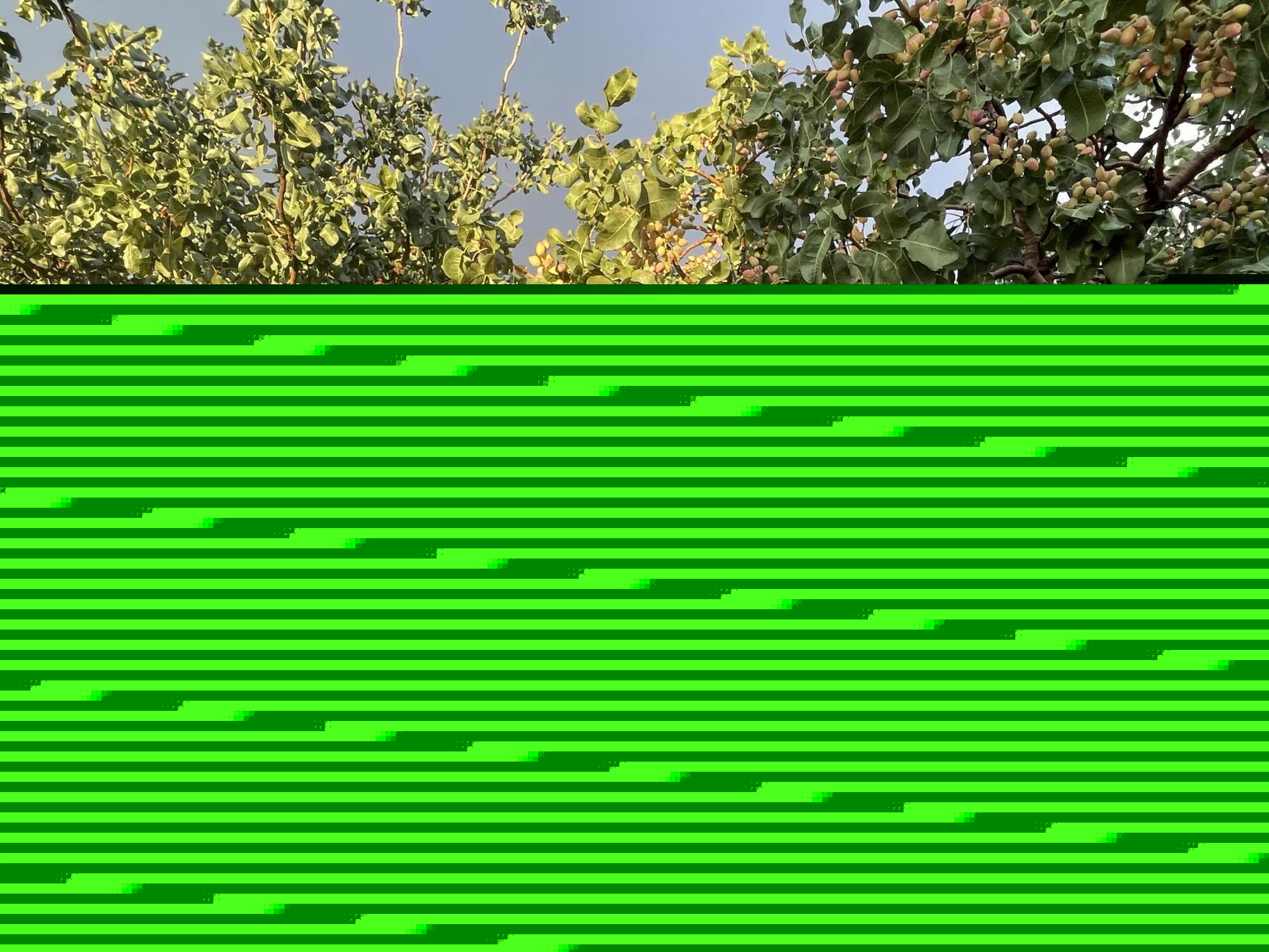 2695 Redstone Street Chaparral, NM 88081 - Photo 29 of 33