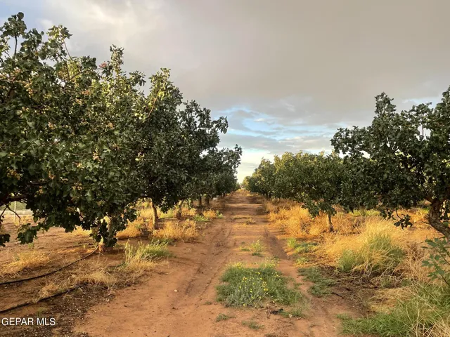 a view of an outdoor space with seating