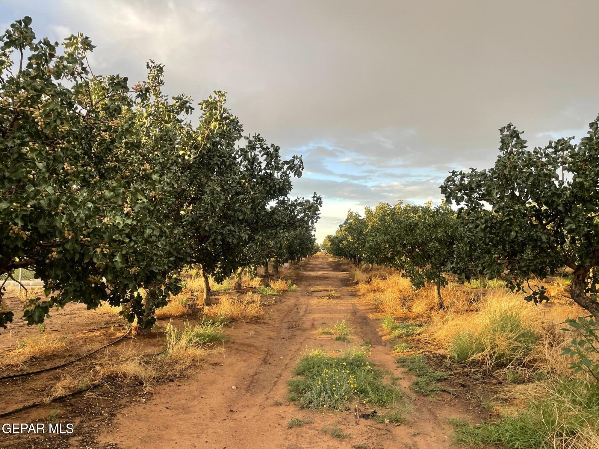 2695 Redstone Street Chaparral, NM 88081 - Photo 30 of 33 a view of ocean view
