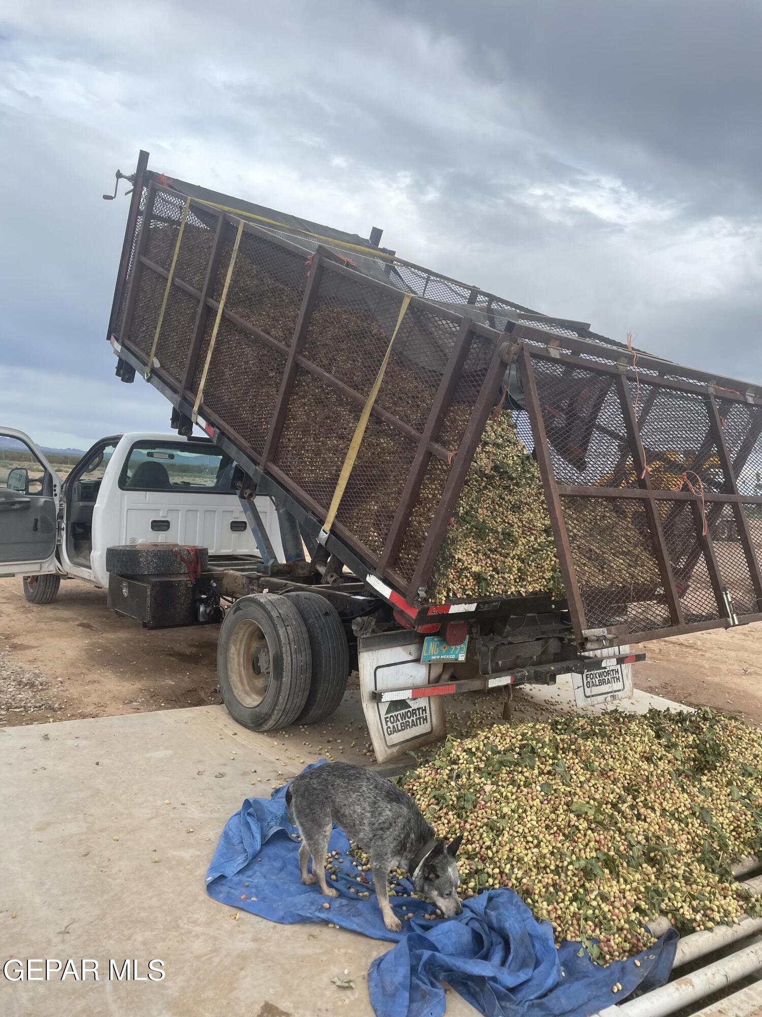 2695 Redstone Street Chaparral, NM 88081 - Photo 31 of 33