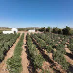a view of outdoor space and mountain view