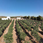 2695 Redstone Street Chaparral, NM 88081 - Photo 4 of 33 a view of outdoor space and mountain view
