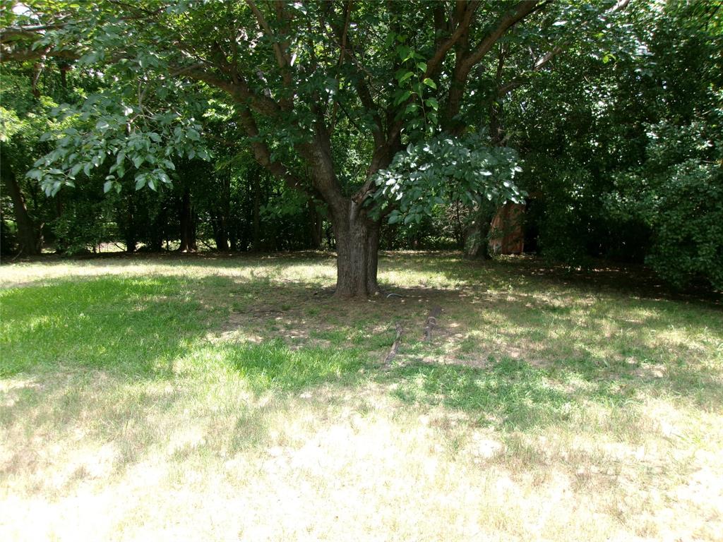 1519 Rambler Road Arlington, TX 76014 - Photo 21 of 21 Mature trees provide natural shade for the expansive lawn and surrounding foliage